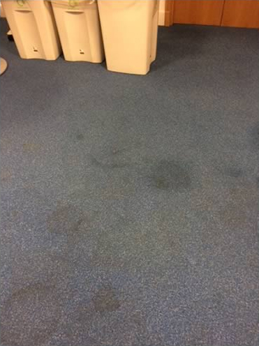 Torquay Carpet Cleaning