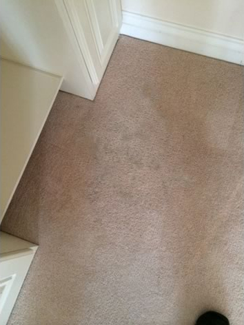 Torquay Carpet Cleaning