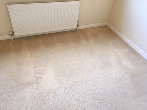Newton Abbot Carpet Cleaning