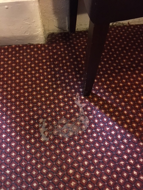 Newton Abbot Carpet Cleaning