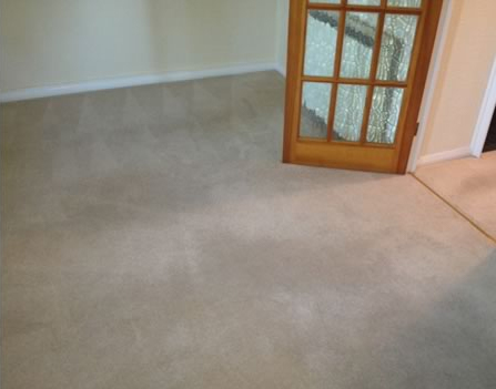 Exeter Carpet Cleaning