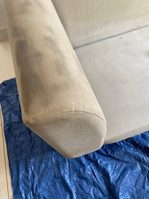 upholstery carpet cleaning near Newton Abbot