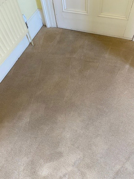 Soiled Carpet Torquay After