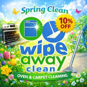Spring Oven Cleaning Discount